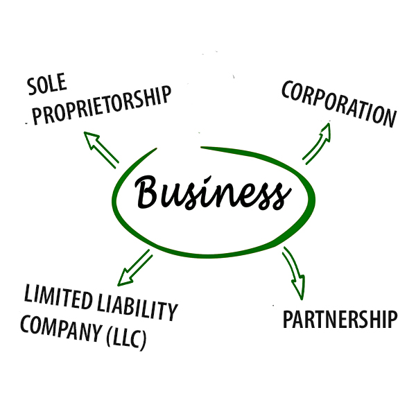 Understanding the Different Types of Businesses (Sole Proprietorship,  Partnership, LLC, Corporation)